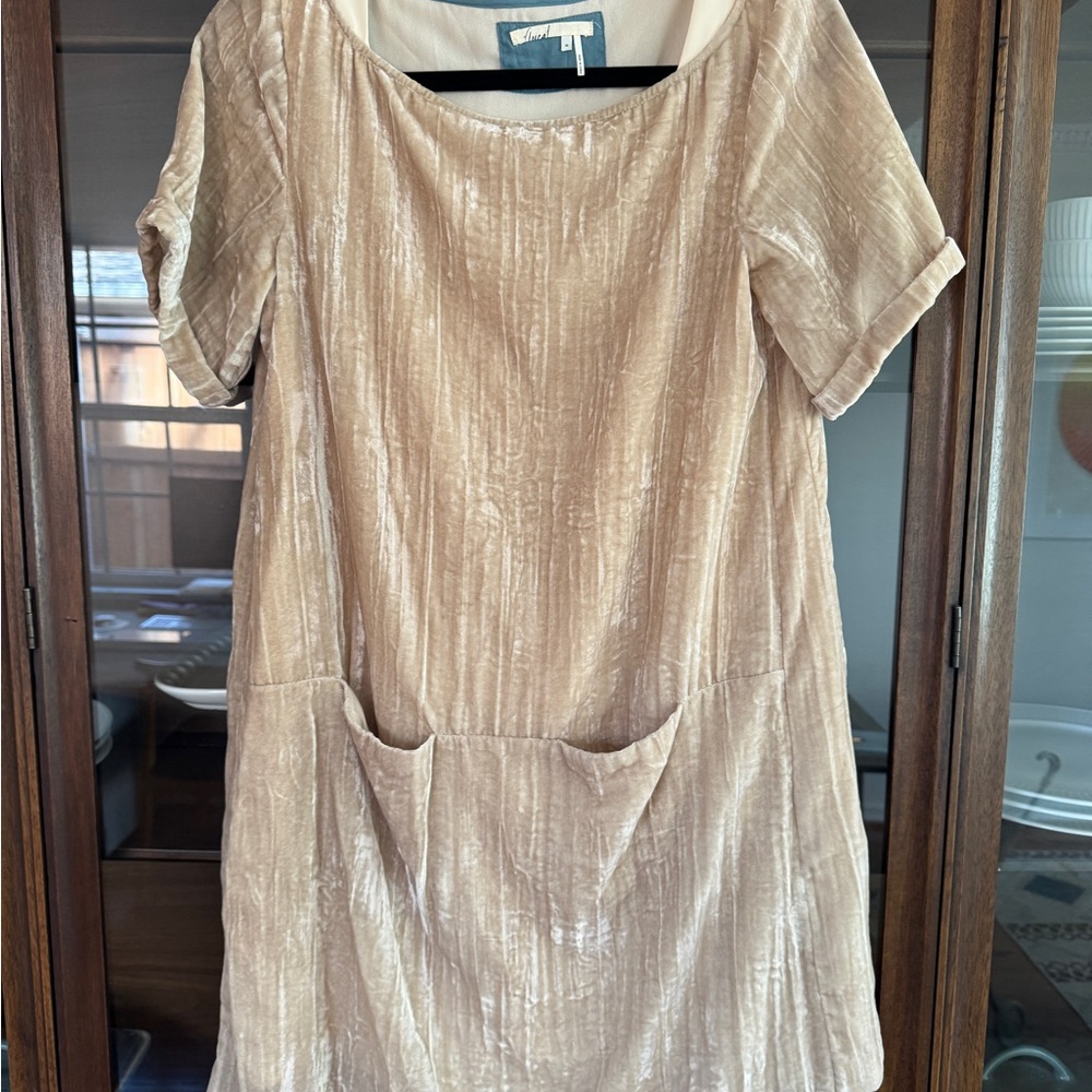 Elegant Tan Velvet Dress
